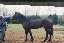 ����游 (KIPPEUM CH��UNGMAN) ����