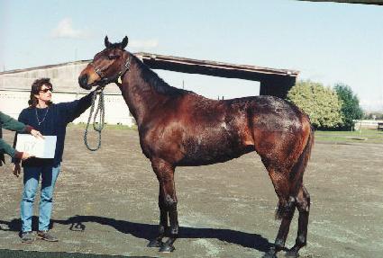 �����ε� ����