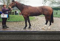 �»���� (T��AESAN MYEONGDONG) ����