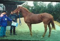 ���Ϸ�Ʈ��ġ�� (SILENT ACHIEVER) ����