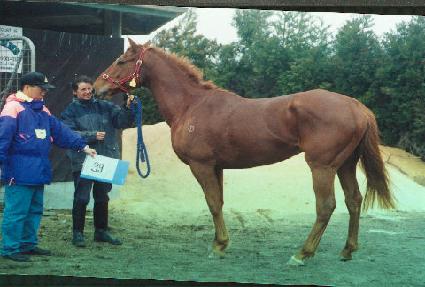 ���Ϸ�Ʈ��ġ�� ����