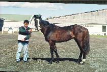 ���̳�����̽� (FINAL PROMISE) ����