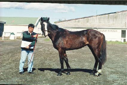 ���̳�����̽� ����