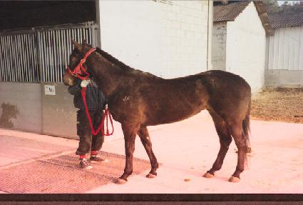 ����̵���� ����