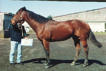 ���̵��ũ ����