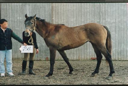 ����Ż�� ����