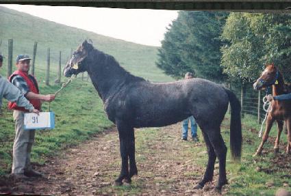 ���⿪�� ����