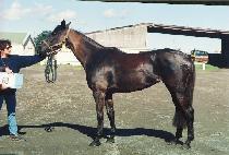 �泭�� (HEUNGNANCH��O) ����