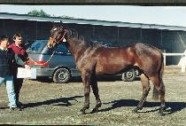 ���ռ� (MYEONGWANGSEONG) ����