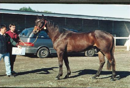 ���ռ� ����