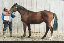 ���ŷ� (CHEONGSHILLYEOK) ����