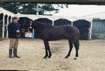 �����ϴ� (PYEOLBIT HANEUL) ����