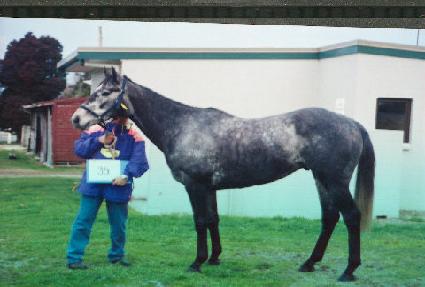 �ƿ���Ŀ ����