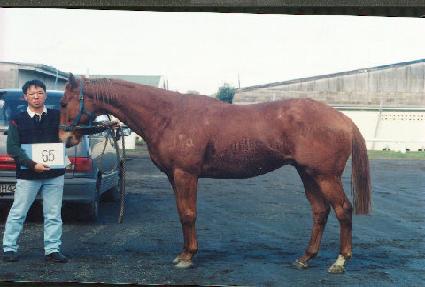 Ÿ��ũ���̾� ����