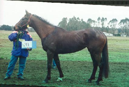 ��� ����