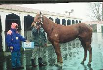 ��Ȳ�� (PONGHWANGDAE) ����