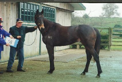 �Ű��� ����