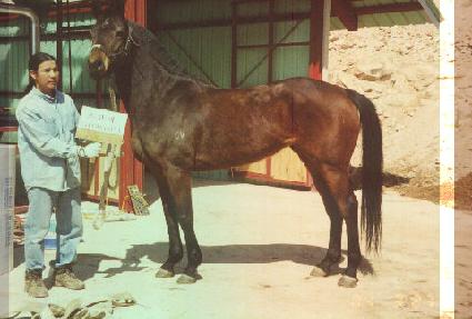 �ʴ��� ����