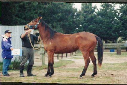 ����Ŭ���� ����