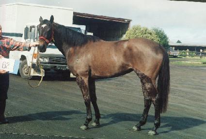 ���̶�뺣�� ����