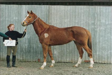 �ƿ���� ����