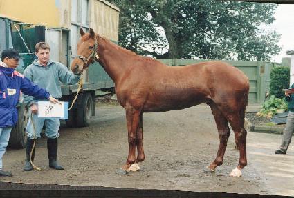 ǳ���� ����