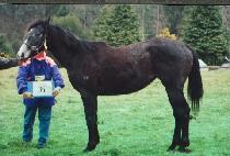 û�Ḹ�� (CH��EONGCH��UN MANSE) ����