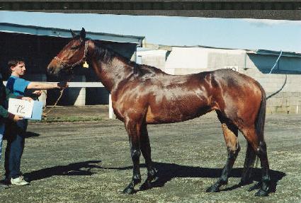 ���ĵ���� ����