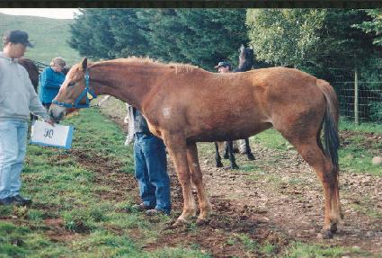 ŷ�����̽� ����