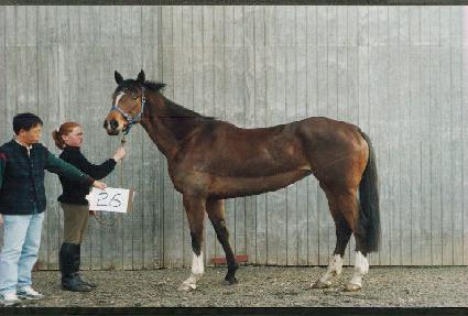 ������¡������ ����