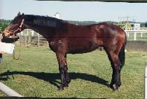 ���߿� (WANGJUNG-WANG) ����