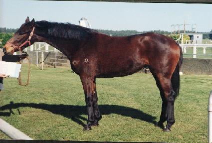 ���߿� ����