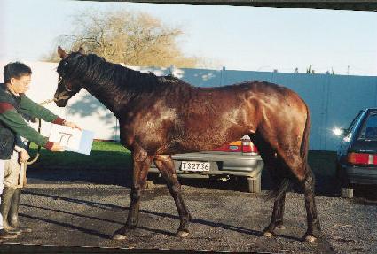 ��Ÿ�γ� ����