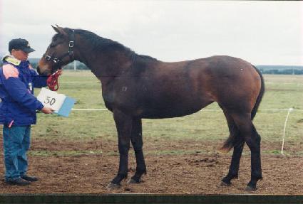 �°� ����