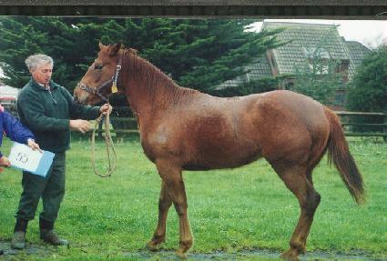 ���� ����