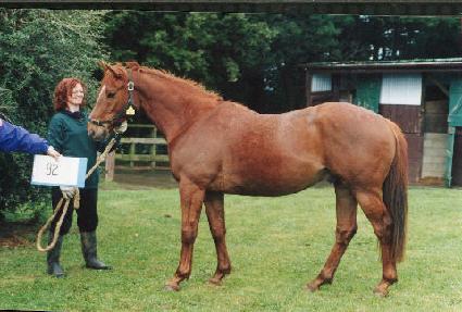 û��ȣ ����