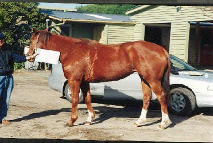 ����� ����