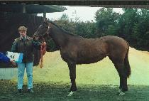����Ÿ�� (NAMSAN TOWER) ����