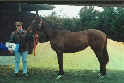 ����Ÿ�� ����