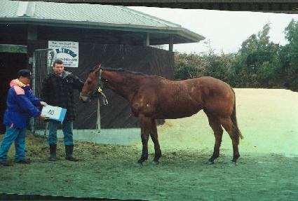 �Ǽ��� ����