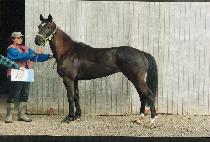 ����� (TAESEUNGJA) ����