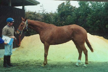 �۷��̵� ����