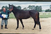 ������ (OGAMDO) ����