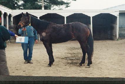 ��ġ�н�Ʈ ����