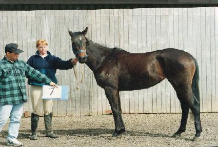 �����ڿ� ����