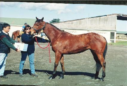 ����Ʈ�ö��� ����