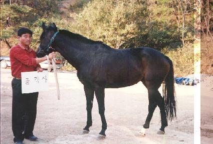 �ݰ��� ����