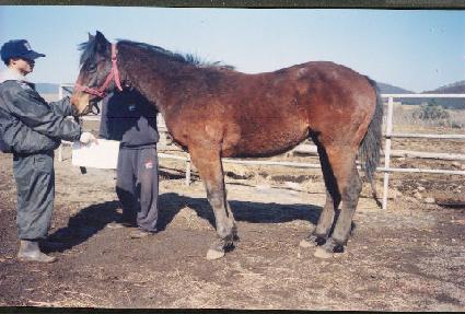 �־Ƴ� ����