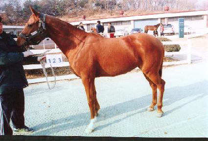 ��Ƽ���� ����