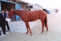 �º� (TAEBONG) ����